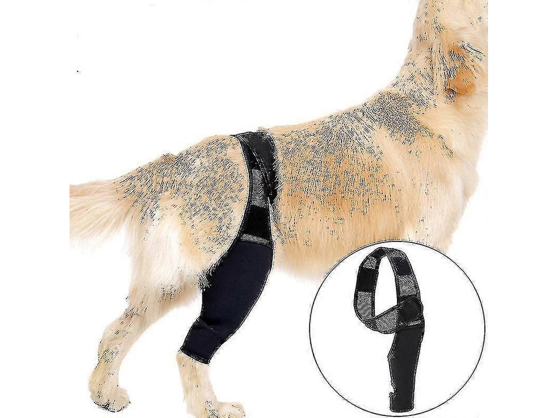 Protetor De Joelho Para Cães Com Lesões De Ligamento Cruzado E Artrite