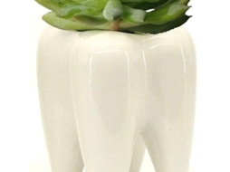 Porta Escova Dentes Cerâmica