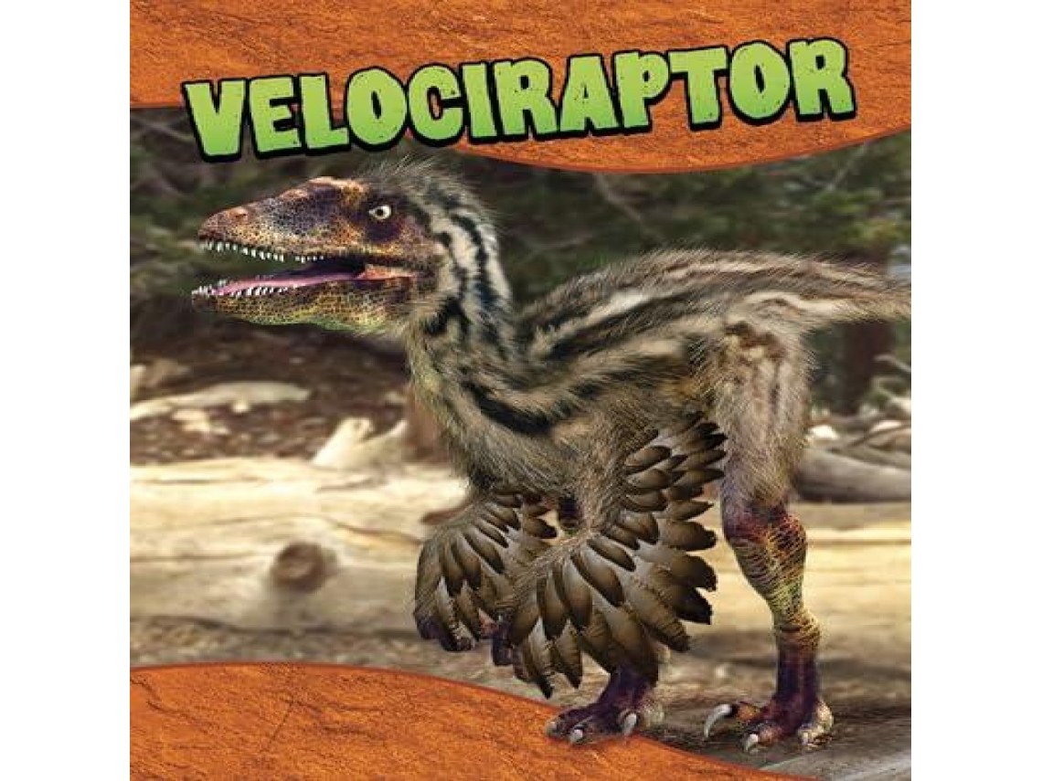 Livro Velociraptor de Laura K Murray (Inglês)