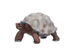 Figuras De Tartarugas E Modelos De Tartarugas Animais Selvagens Brinquedos Educativos Para Crianças E Bebês