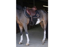 Bandagem de Respeito Cinzento Lnorton Equestrian