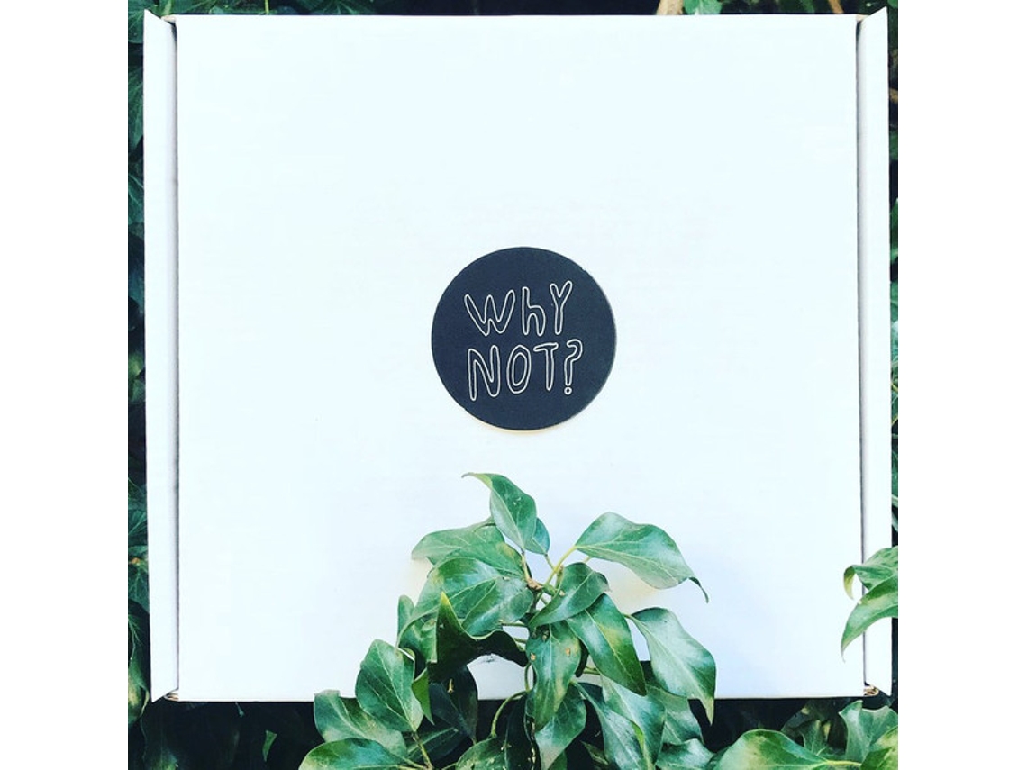 Vinil Half Japanese Why Not? Worten.pt