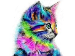 Kit De Pintura Diamante 5d Gatito Bordado Cruzado Broderie Arte Decoración Pared Lienzo 30x30 Cm