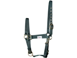Conjunto de 3 cabresto de cavalos Harry's Horse