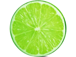 Travesseiros Decorativos Redondos 14 Polegadas 3d Frutas Macios Almofadas para Sofá Cadeira Chão