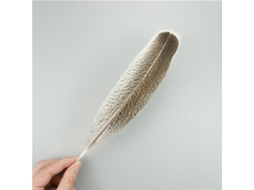 10 Plumas De Águila Naturales Para Manualidades Adornos De Headdress Decoración Festiva Carnaval Diy 20-25 Cm 8-10 Polegadas 10 Unidades