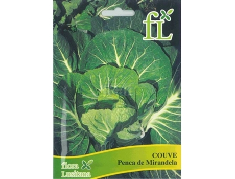 Semente CASA CESAR SANTOS Couve Penca Mirandela