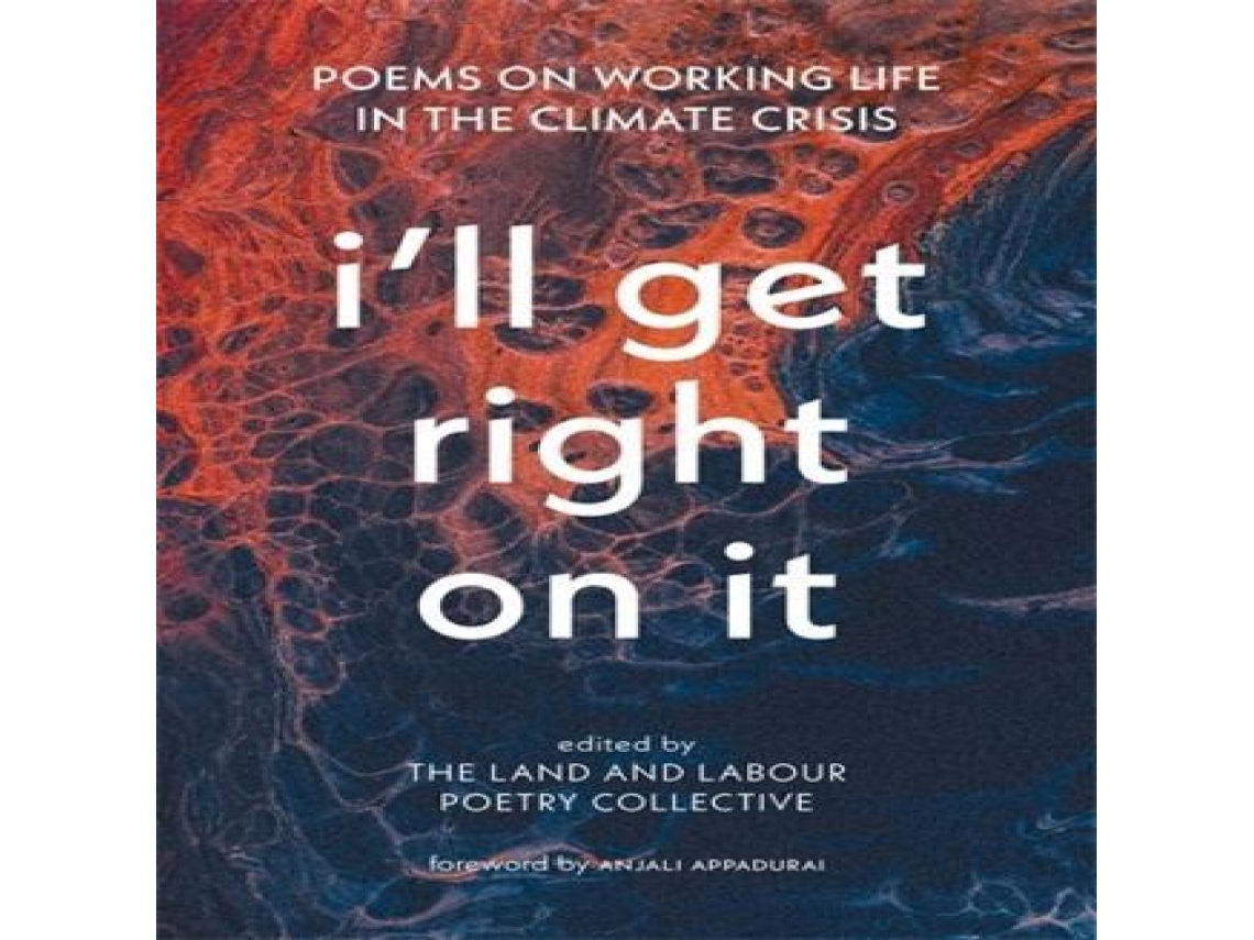 Livro Ill Get Right On It de Fernwood Publishing Co Ltd (Inglês)