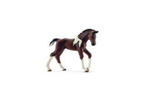 Figura  Cria de Cavalo Trakehner