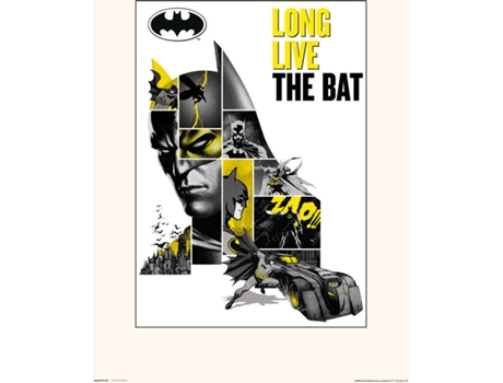 Print S 30X40 Cm 80 Batman