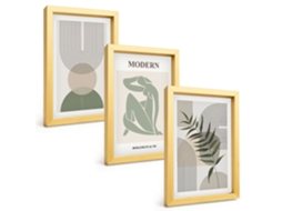 Composição De Quadros Gráficos Elegantes De Plantas Espelharte (3 Peças 20x30 Cm)