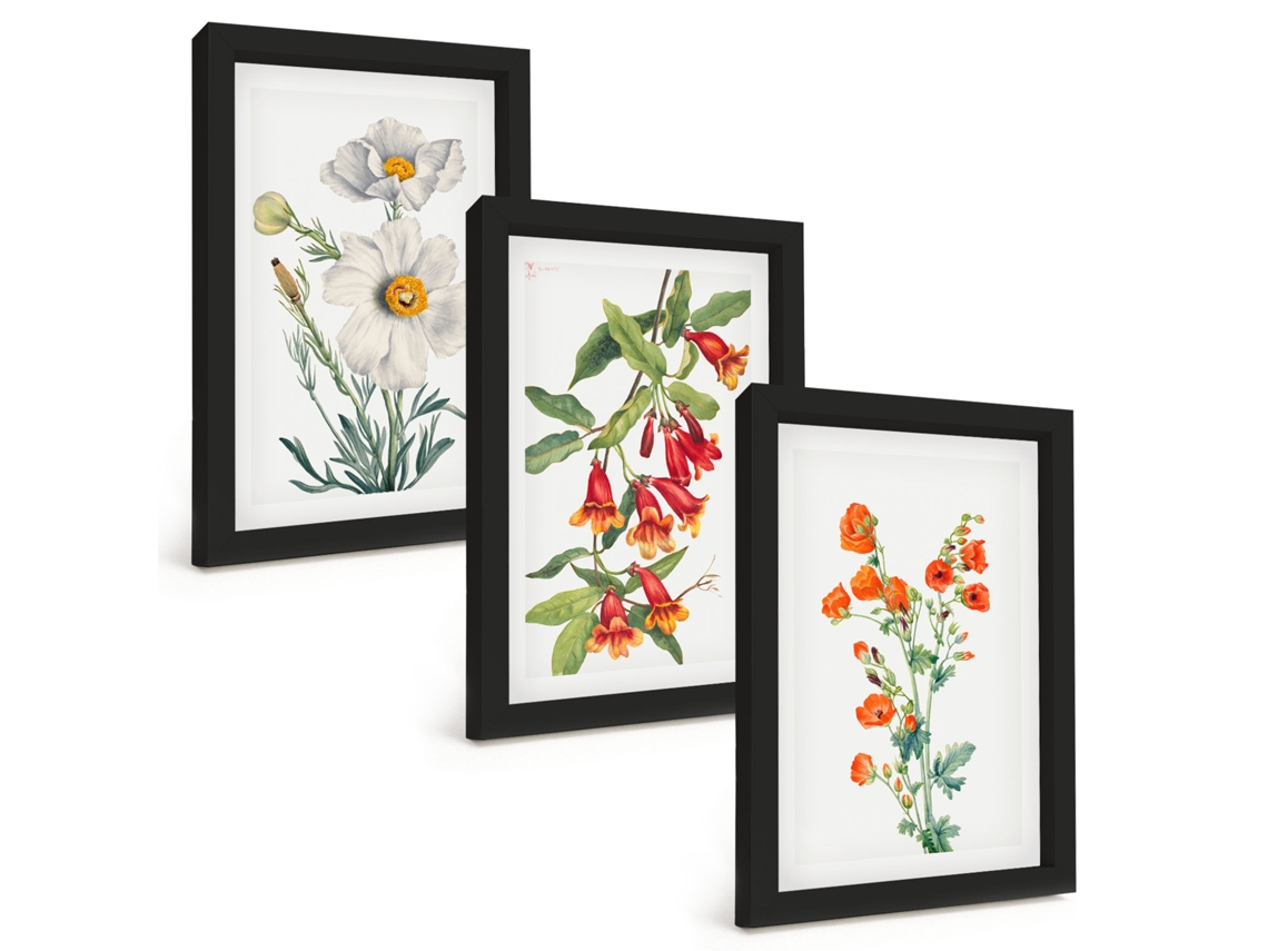 Composição De Quadros Na Paredecomposições Florais Retrô Moldura Preta Quadros Para A Sala De Estar Espelharte (3 Peças 20x30 Cm)