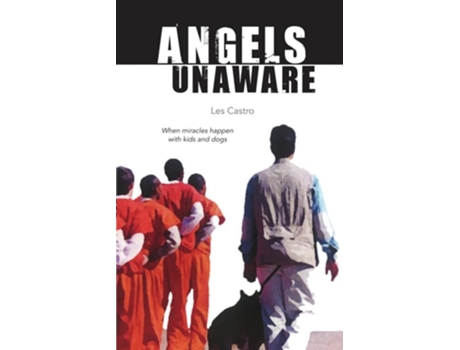 Livro Angels Unaware De Les Castro (inglês)