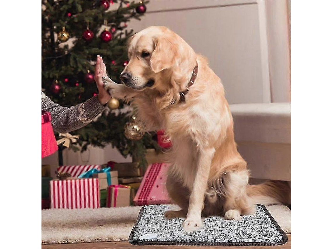 Cobertor Elétrico Impermeável Para Animais De Estimação, Com Aquecimento E Fio De Aço Resistente A Mordidas, Ideal Para Cães E Gatos. Olysi Shop