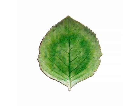 Prato Folha de Hortênsia COSTA NOVA Riviera Verde 22cm