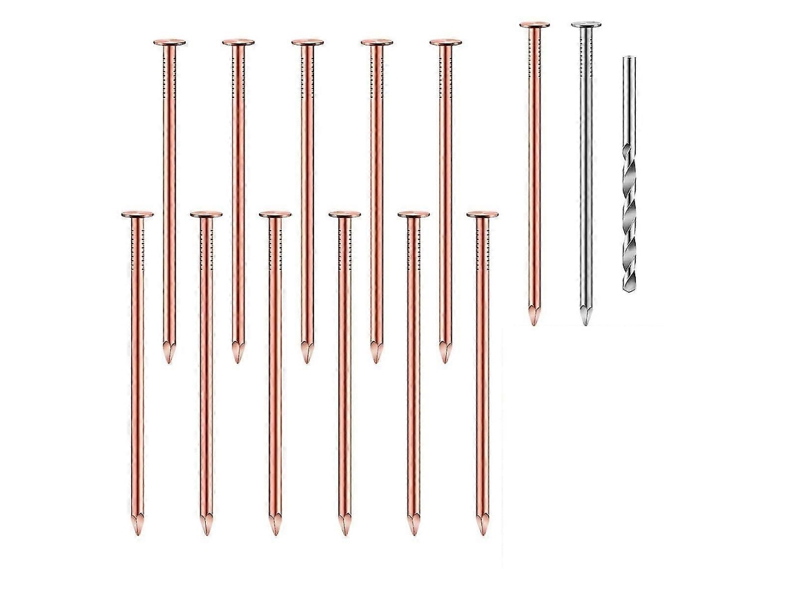 Kit Com 25 Pregos De Cobre Puro Para Eliminar Árvores, 3,5 Polegadas, Para Remoção De Tocos-sdcy