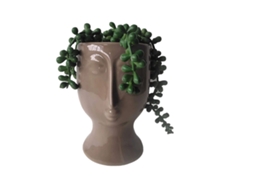 Planta Decorativa DKD HOME DECOR (Cerâmica - Multicor)