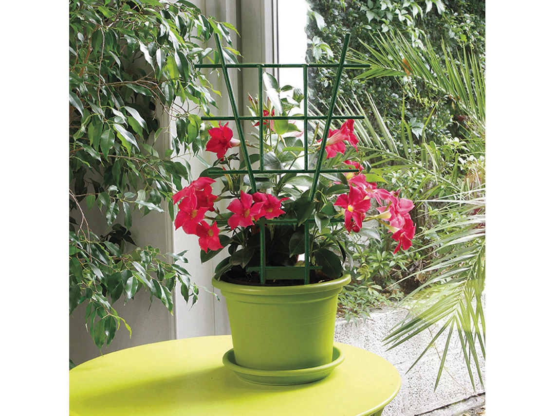 Maca Tutor Schelle 50 Cm Verde Nortene