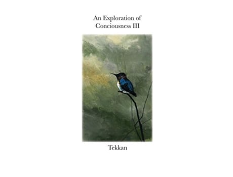 Livro An Exploration of Consciousness III de Tekkan (Inglês)