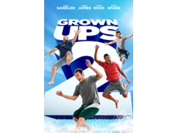 DVD Grown Ups 2 (2013)