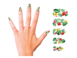 Pacote de 12 unhas exóticas com cola