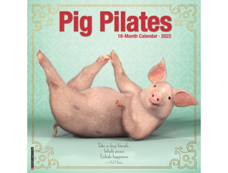 Livro pig pilates 2022 wall calendar de willow creek press (inglês)