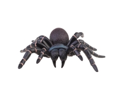 1Pcs Brinquedo de Aranha Artificial para Decorações de Halloween ALLINLESS
