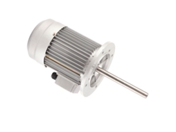 Motor Trifásico Laxiscreed 750w Com Proteção Térmica, 1400rpm E Voltagem Ajustável 220v/380v