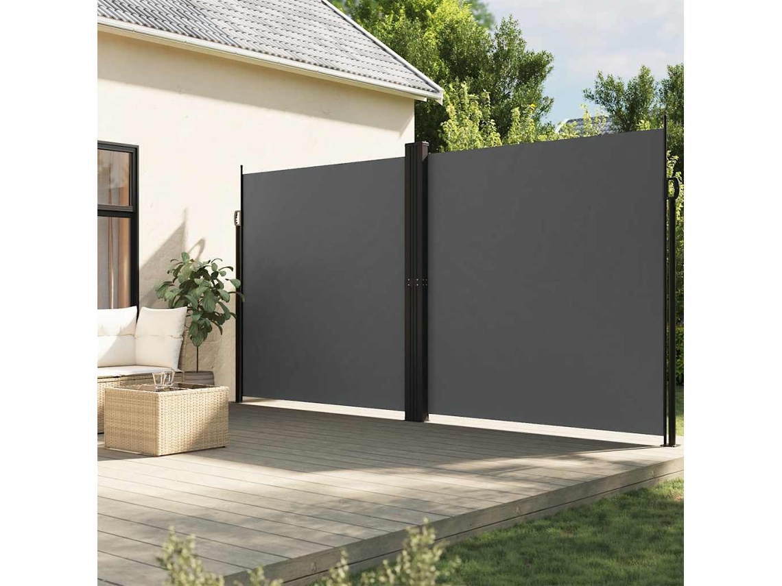 Vidaxl Toldo Lateral Retrátil 220x1200 Cm Antracite