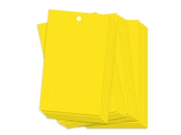 Armadilhas Adesivas Duas Faces Primerox para Insetos Voadores 20pcs