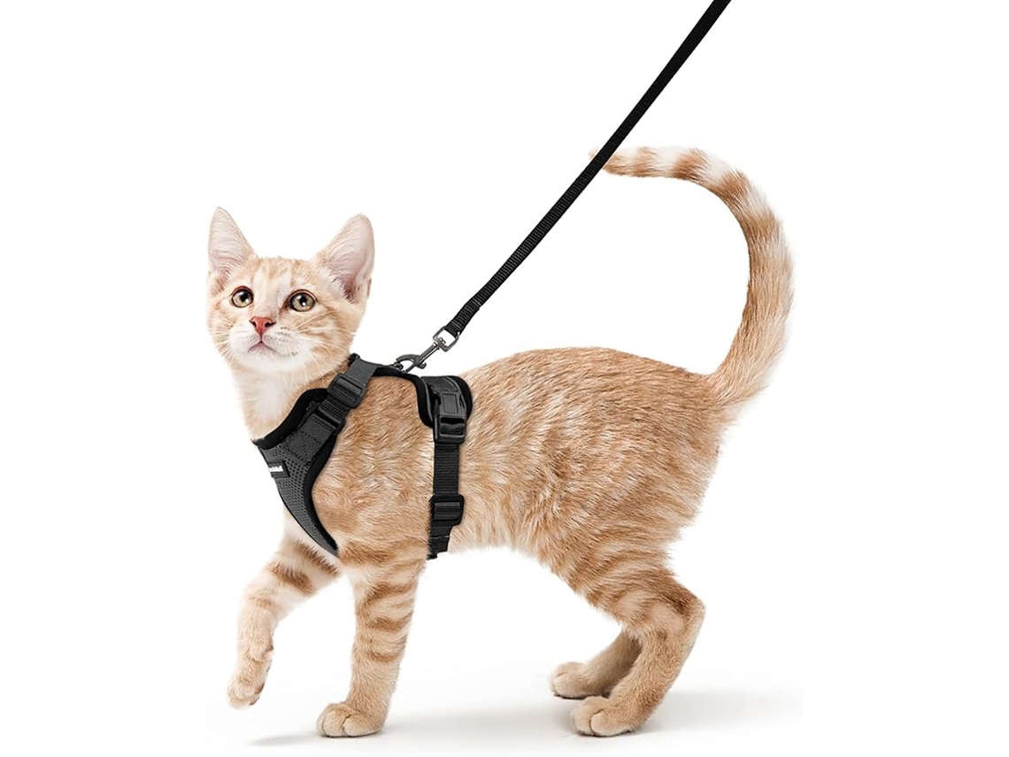 Harness Cat com Chumbo, Black Soft Harness For Cats, Chest Harness, Cat Harness, Escape Proof, Adjustable Cat Vest, Black, M STELASPLEN