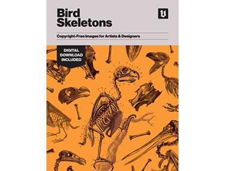 Livro Bird Skeletons CopyrightFree Images for Artists Designers de Kale James (Inglês)