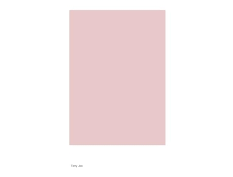 Livro The Cultural Significance of Rubber Bands de Terry Jox (Inglês)
