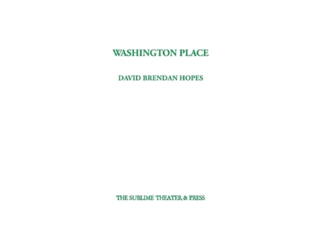 Livro Washington Place De David Brendan Hopes (inglês)