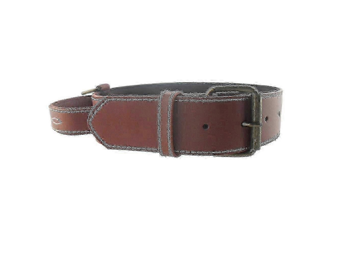 Colar De Couro Grão Inteiro Resistente Para Cachorros, Com Alça, Prático