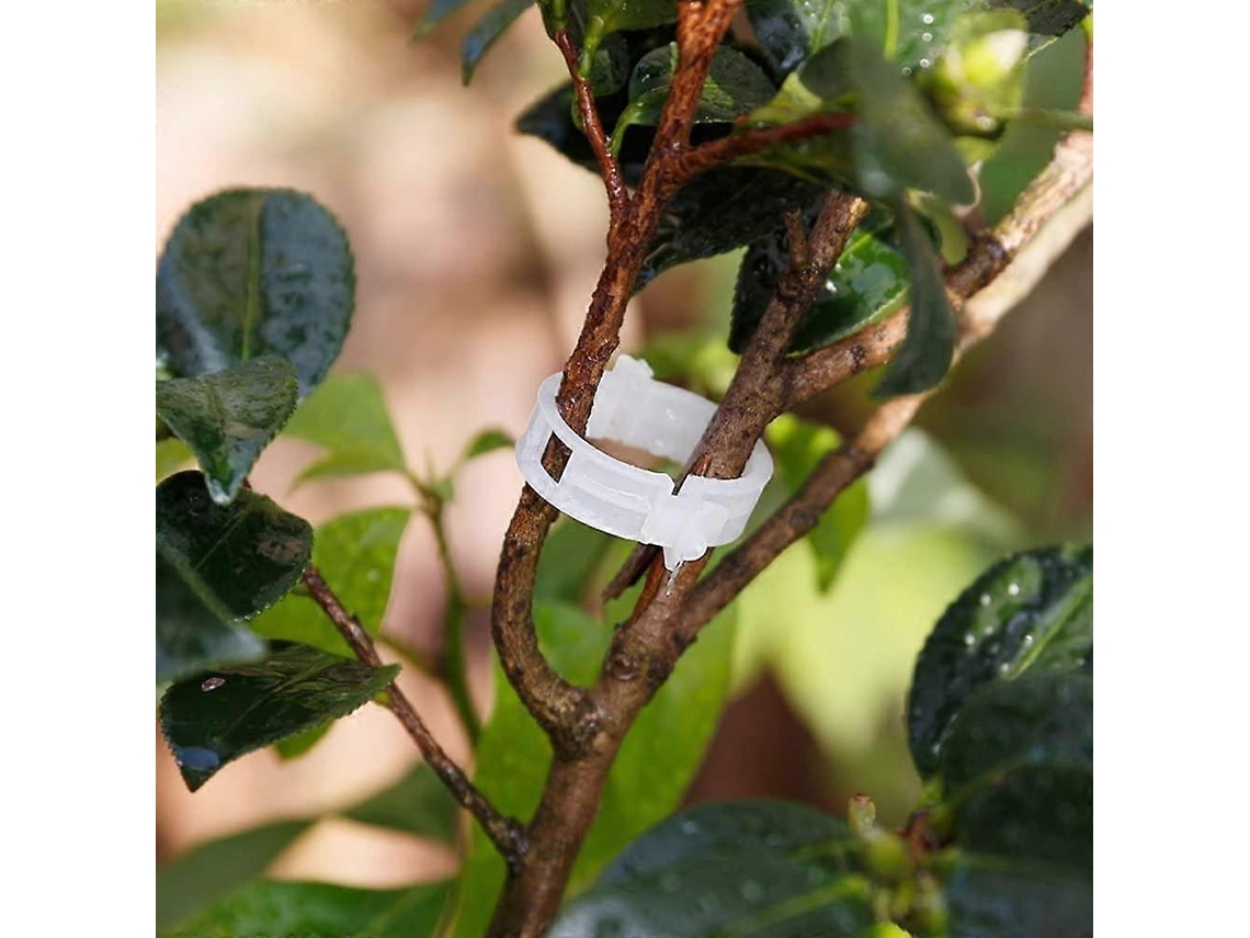 200 pinças de plástico para plantas, clips de apoio para tomates, legumes e trepadeiras, branco | S/MARCA