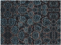 Colcha de Flanela Macia e Aconchegante com Estampa Floral Delicada 152 4 X 127 Cm, Macio, Quente, Ideal para Q