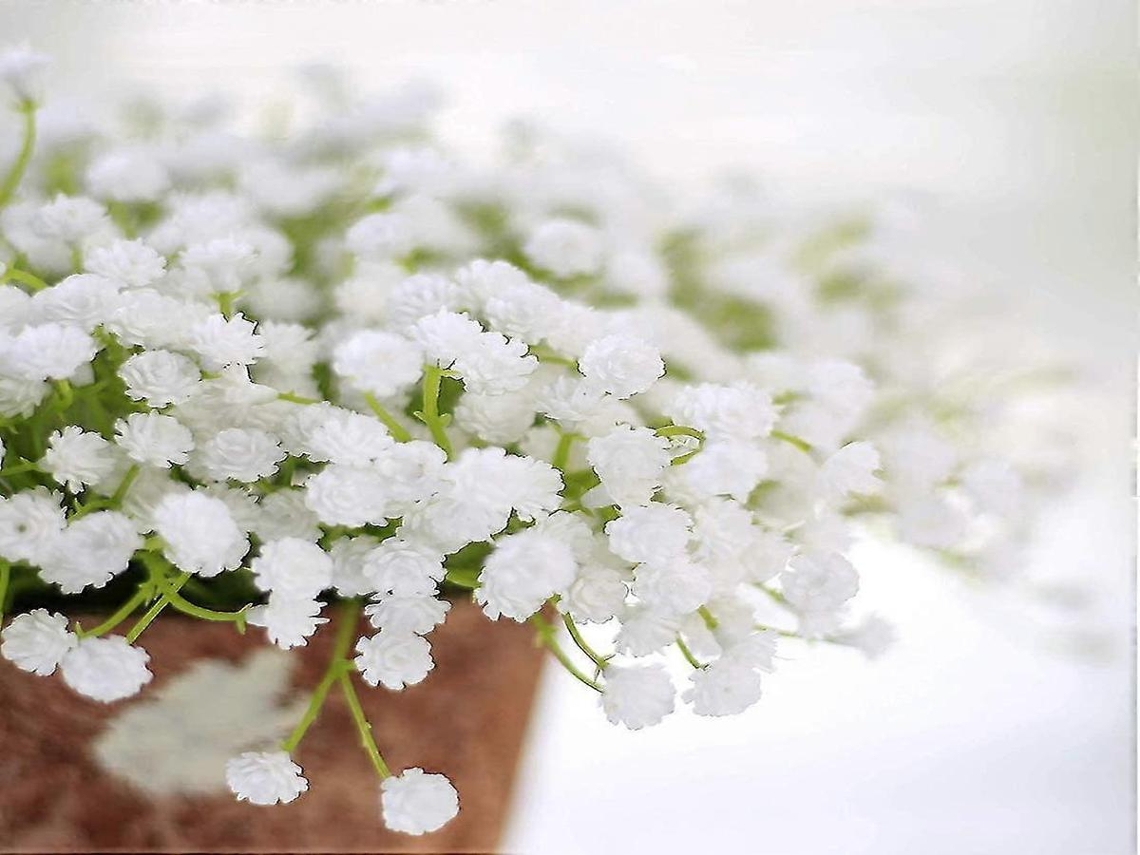 Guirlanda De Rosas Artificiais - 8 Peças - Branco, Plástico/pu, 7,8 Polegadas - Anti-desbotamento - Para Interiores E Exterior E Casamentos | Lurelia