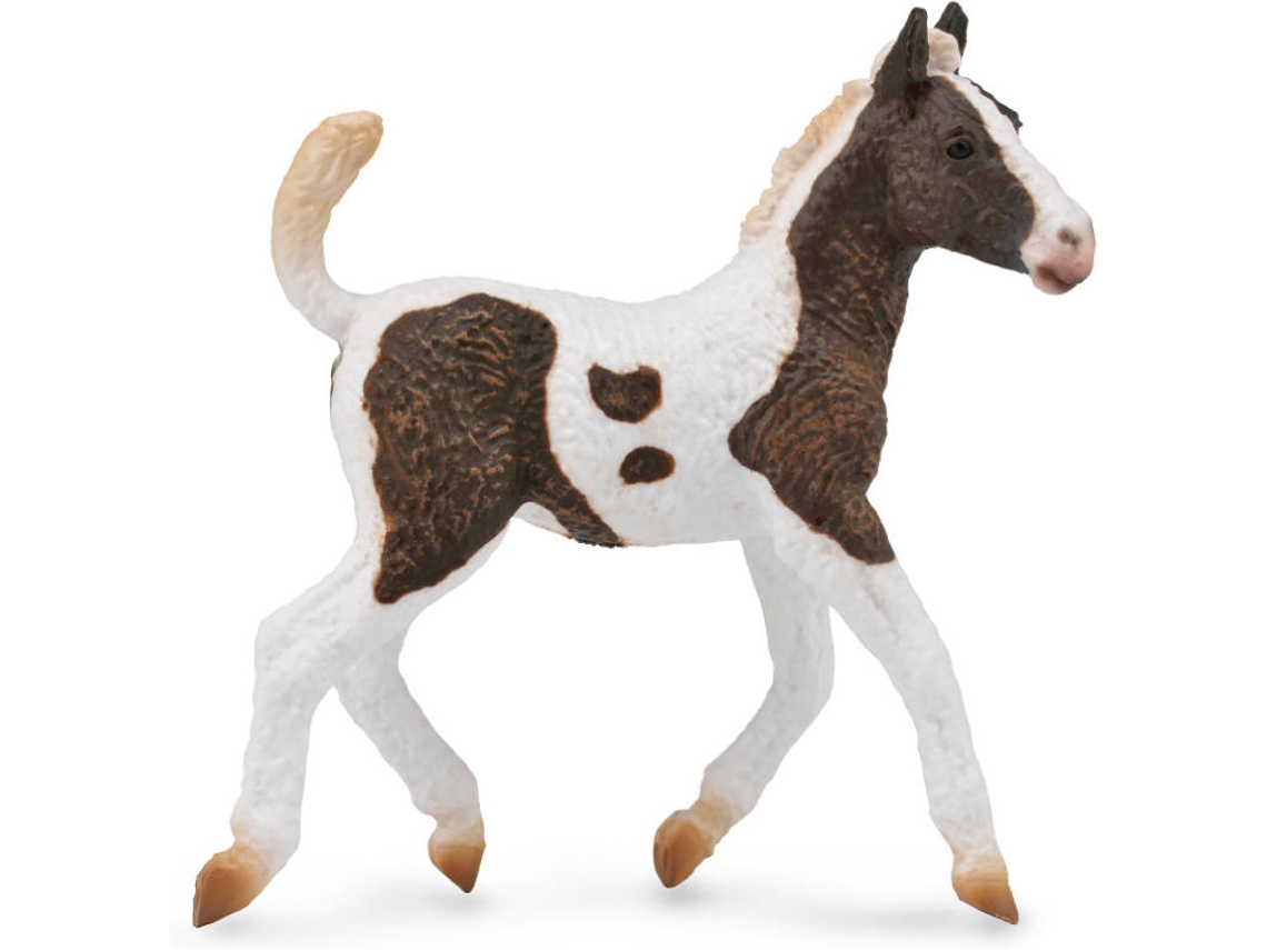 Figura COLLECTA 9588781