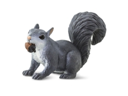 SAFARI Gray Squirrel