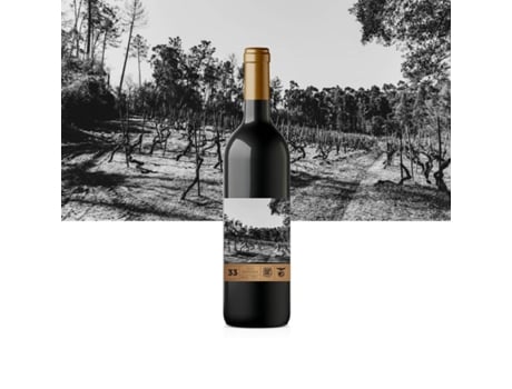 Vinho Tinto Doc Reserva 2015 BAIRRADA