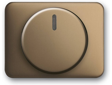 Placa de Parede para Interruptor  6540-21