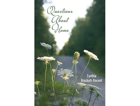 Livro Questions About Home De Cynthia Brackett-vincent (inglês)