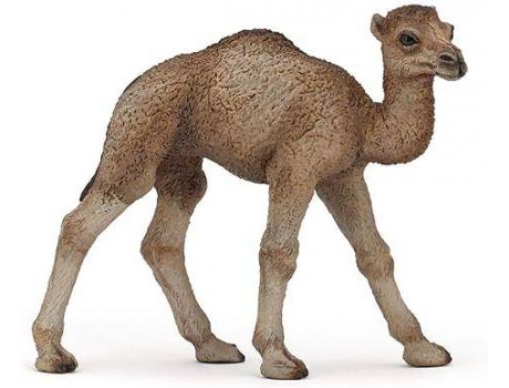Figura  Dromedário Bebé