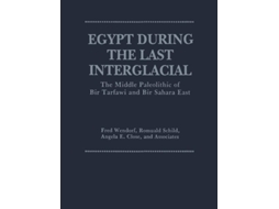 Livro Egypt During The Last Interglacial De Angela E Close, Romuald Schild Et Al. (inglês)