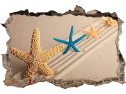 Adesivo de parede com linda estrela-do-mar na praia, ideal para sala de estar, quarto, cozinha, escritório, para adultos e crianças, 70x110cm