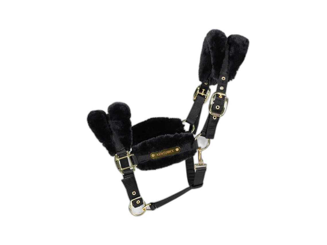 Cabresto para Ovelhas KENTUCKY
