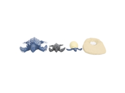 Modelo De Ciclo De Vida De Animais Marinhos Tartaruga Brinquedo Científico Infantil
