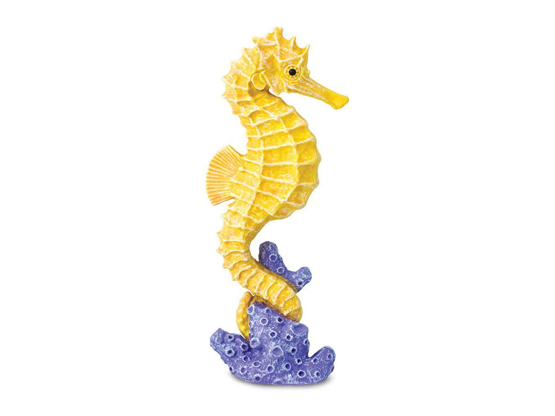 SAFARI Seahorse