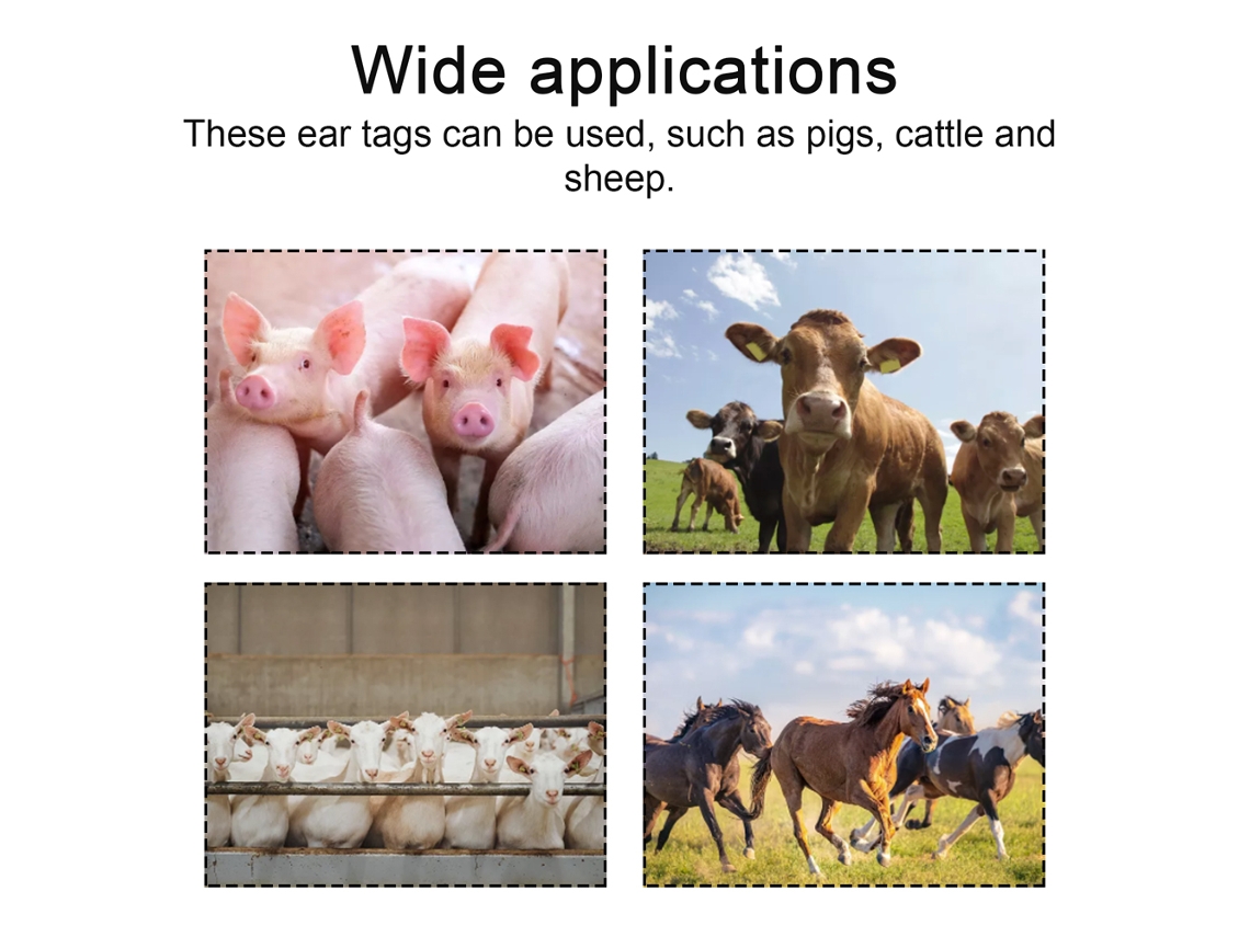 Yuru alicates de Tags para Animais, 100pcs, com Pinos e Chave